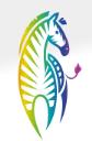 Rainbow Zebra Office Furniture logo
